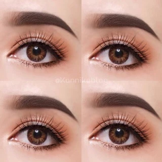 🔥คอนแทคเลนส์✨ขนาดมินิ✨Brown / Gray✨ Mari ✨Gaezz Secret