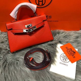 hermes mini