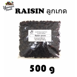 Raisin ลูกเกด 500 กรัม และ 1000 กรัม