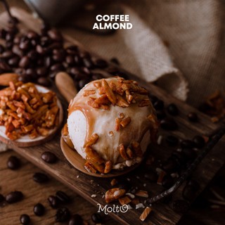 Coffee Almond (ไอศกรีม รสกาแฟ อัลม่อน 1 ถ้วย 16 oz.) - Molto premium Gelato