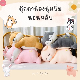 ตุ๊กตานิ่ม หมอนข้างนิ่ม ตุ๊กตาชิบะนอนหลับ ฮัสกี้นอนหลับ ราคาโรงงาน 🧺พร้อมส่งทันที มีเก็บปลายทาง🚚