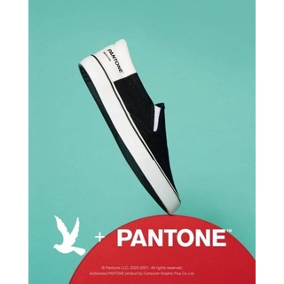 รองเท้า Pantone Slip on Sneakers