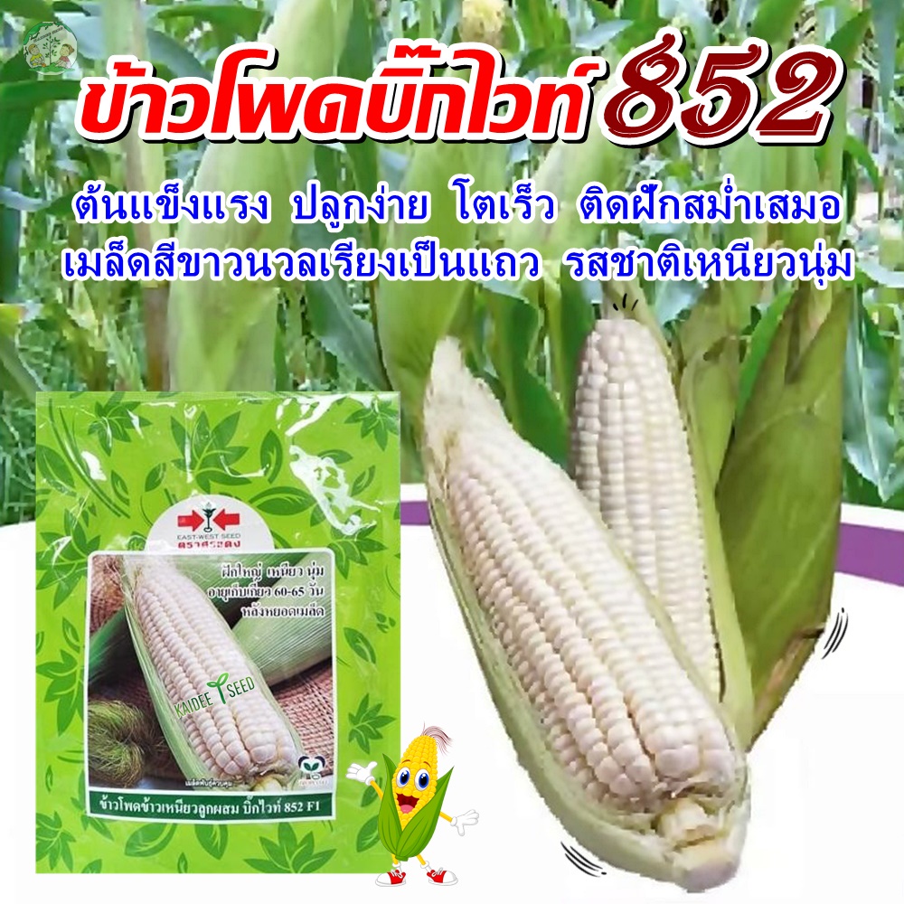My Image 15