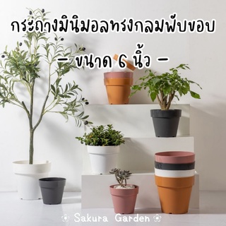 🔥𝗦𝗔𝗟𝗘🔥กระถางมินิมอลทรงกลมพับขอบ ขนาด 6 นิ้ว พลาสติกอย่างดี พร้อมจานรอง