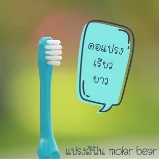 0-3 ขวบ+ Molar Bear แปรงสีฟันเด็ก ขนนุ่ม หัวแปรงขนาดเล็ก