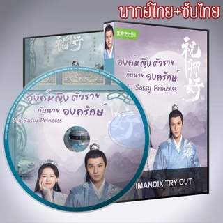 ซีรี่ส์จีน องค์หญิงตัวร้ายกับนายองครักษ์ My Sassy Princess DVD 4 แผ่น พากย์ไทย+เสียงจีนซับไทย