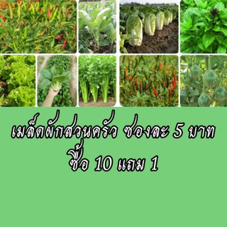 เมล็ดผักสวนครัว เมล็ดผัก 10แถม1 เมล็ดผักกินใบ เมล็ดผักสลัด เมล็ดผัก5บาท