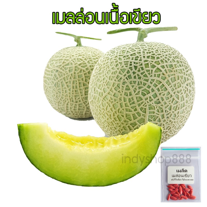 เมล็ดพันธุ์ เมล็ดเมล่อนญี่ปุ่น เนื้อเขียวคิโมจิ  หวานฉ่ำ กลิ่นหอม รสชาติดี [ 10 แถม 1 คละได้]