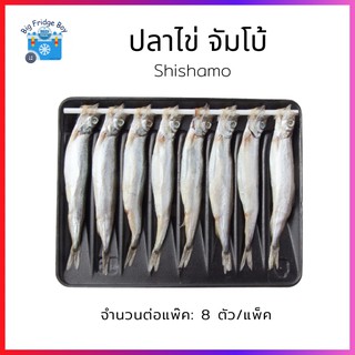 ปลาไข่ ไซส์ใหญ่จั้มโบ้ 20-24 กรัมต่อตัว (Shishamo) (8 ตัวต่อถาด) l BIG FRIDGE BOY