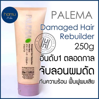 PALEMA® Damaged Hair Rebuilder 250g