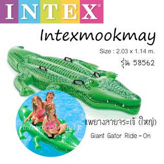 Intex 58562 แพยางจระเข้ใหญ่ สีเขียว **ของใหม่**ของแท้ **จัดส่งไว