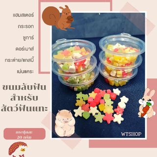 ขนมลับฟันรสผลไม้รวม สำหรับสัตว์ฟันแทะ ขนมลับฟันแฮมสเตอร์ กระรอก ชูการ์ กระต่าย แกสบี้ (20กรัม)