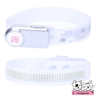 Dogacat ปลอกคอสุนัข ปลอกคอแมว LED เรืองแสง ใส่ข้อความได้ (Silver)