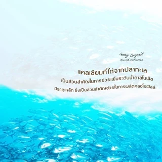 น้ำหมักปลาทะเล INSAY ฮอร์โมนพืชกระตุ้นดอก ส่งเสริมการเจริญเติบโตพืชผักทุกชนิด ขนาด 1 ลิตร