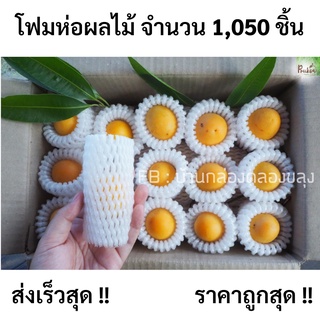 โฟมห่อผลไม้ S10,12  จำนวน 1050 ชิ้น มะปราง มะยงชิด ส้ม อะโวคาโด, แอปเปิลฟูจิ, ฝรั่ง,มะม่วง ,เมล่อน ถูกที่สุด!!