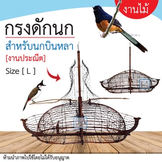 (กรงดัก) ดักนกปรอท และ นกบินหลา ทรงไททานิค