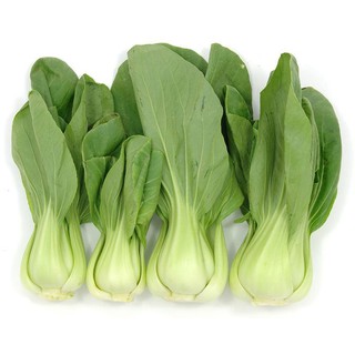 กวางตุ้งจักรพรรดิ📌ถูกที่สุด10บ.📌เมล็ดพันธุ์กวางตุ้งจักรพรรดิ…