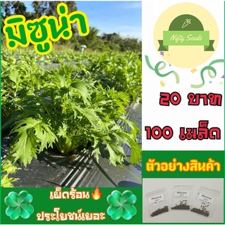 เมล็ดพันธุ์ผักสลัดมิซูน่า 100 เมล็ด 20 บาท