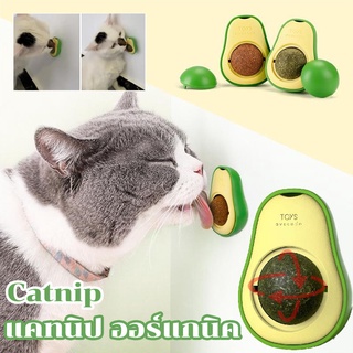 พร้อมส่งจ้า🥑Catnip แคทนิป ออร์แกนิค ของเล่นแมว ติดกำแพง ขนมแมวเลีย แบบเลีย