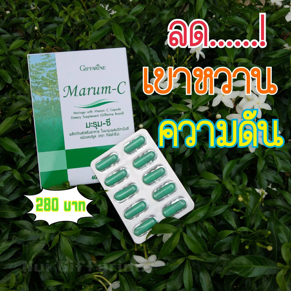 ลดเบาหวาน ลดความดันมะรุม-ซีGiffarine ใบมะรุมผสมวิตามินซี ชนิดแคปซูล ช่วย ลดเบาหวาน ลดความดัน