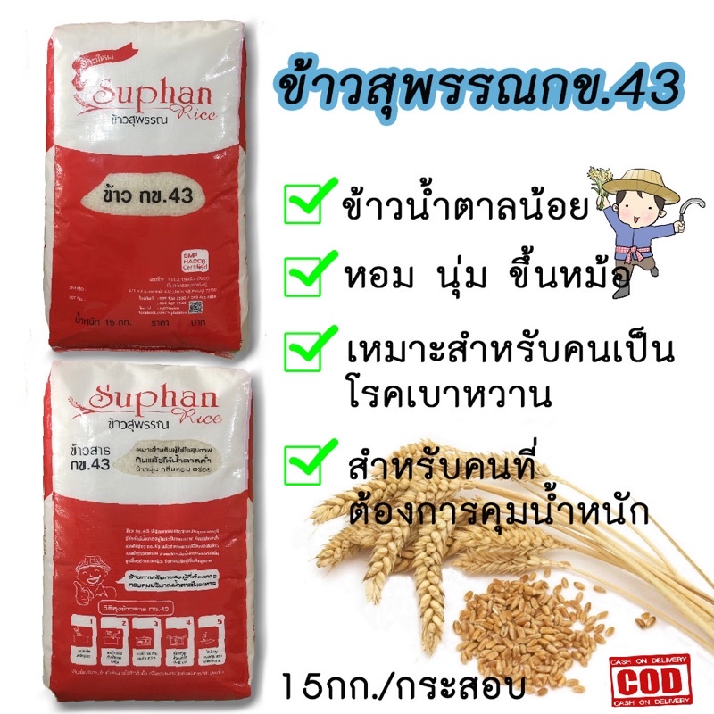ข้าวสาร กข 43 ข้าวน้ำตาลน้อย บรรจุ 15 กิโลกรัม หอมนุ่ม เม็ดสวย เหมาะสำหรับ ผู้ที่ต้องการควบคุมน้ำหนั