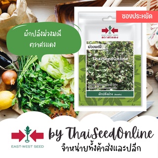 VP3 ซฟ เมล็ดพันธุ์ ผักปลังม่วง ม่วงมณี 50เมล็ด ตราศรแดง Purple Ceylon Spinach