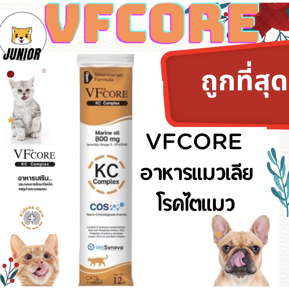 แบ่งซอง!🔥VFcore​ KC Complex​  ช่วยบำรุงไตแมว kidney care​ VF core​ อาหารเสริมบำรุงไตแมว