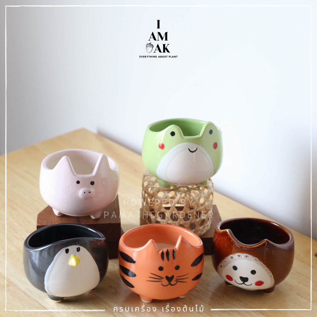 มุมมอง 3