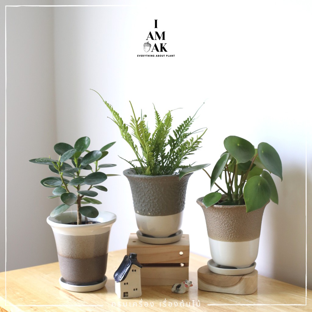 กระถางเซรามิก ทรงปากแตรมีขาขนาด 4.5” [LP ปากแบน]