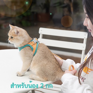 like pets  สายจูงสัตว์ เสื้อรัดอกสุนัข เสื้อรัดอกแมว จูงแมวเดินเล่น ปลอกคอแมว ขนาดเล็ก