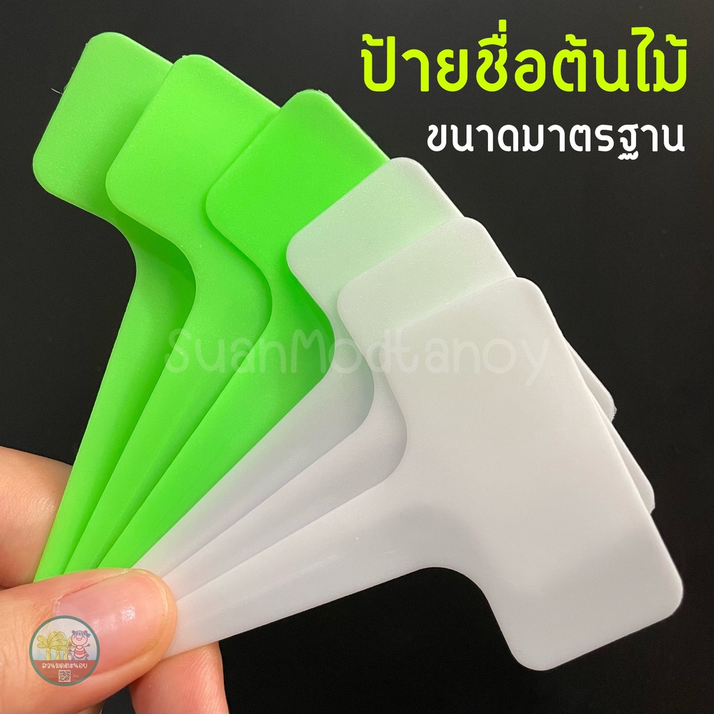 ป้ายชื่อต้นไม้ ขนาดมาตรฐาน (6 ชิ้น) พลาสติกหนาเรียบ แต่ยังอ่อนงอได้ ใช้ปากกาหัวเล็ก-กลางเขียน ราคาถูก Shopee Lazada