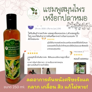 เเชมพูสมุนไพรเหงือกปลาหมอ บ้านสามช่องเหนือ 250ml.