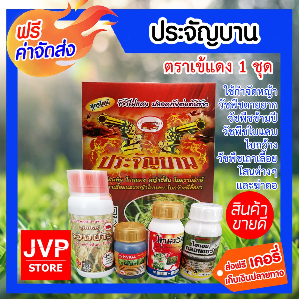 ชุดประจัญบานเข้แดง สูตรใหม่ ชุดกำจัดหญ้าในนาข้าวเห็นผลดี