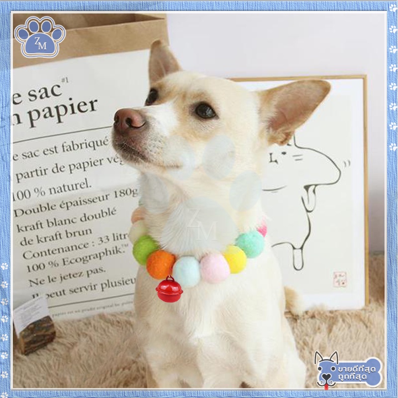 รูปภาพ 5