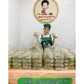 แผ่นแป้งห่อสลัดโรล สี่เหลี่ยม ตัดครึ่ง แช่เย็นได้ ขนาด 500 กรัม 2 แพ๊ค