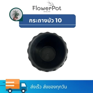 กระถางบัว เบอร์ 10 (ปากกว้าง 8 นิ้ว) สีดำ ปลูกบัว ไม่มีรุ