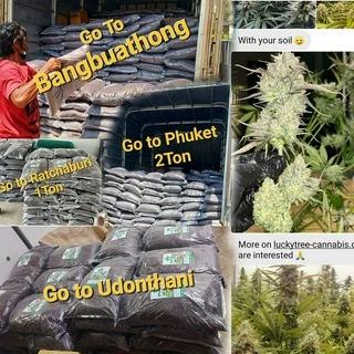 ดินปลูก สายเขียว-สมุนไพรSuper soil 420 Potting mix auto Flower (5KG/18L.)หลังเพาะกล้า-เร่งใบ-เร่งดอก