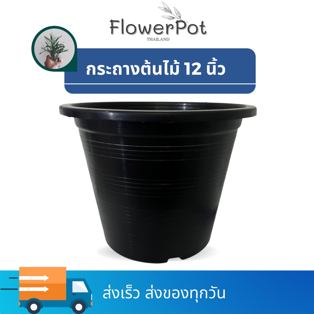 [5 ใบ] กระถางต้นไม้ 12 นิ้ว สีดำ ปลูกบอน