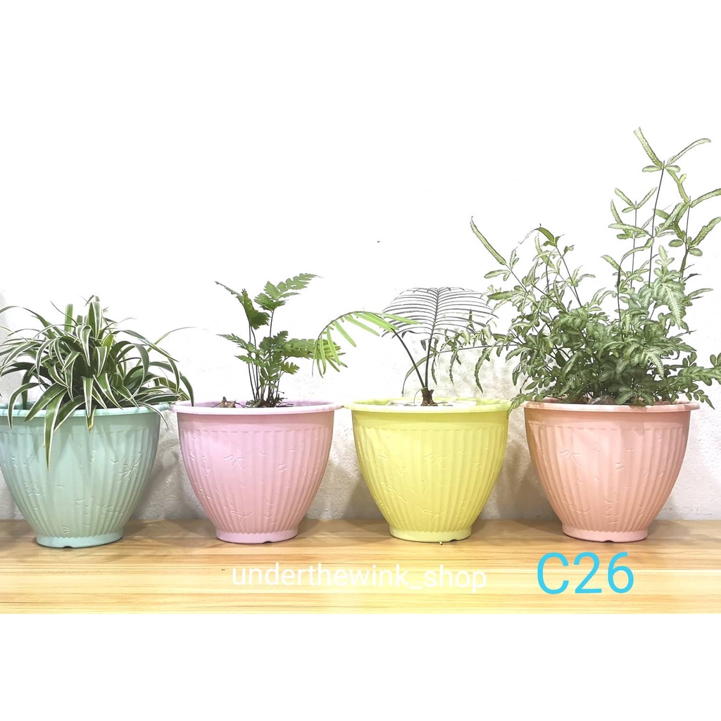 กระถางต้นไม้พลาสติก โรมัน C26 กระถางดอกไม้ ขนาด 7.5 นิ้ว สีพาสเทล สีหวาน แข็งแรง สวยงาม ใช้ดี