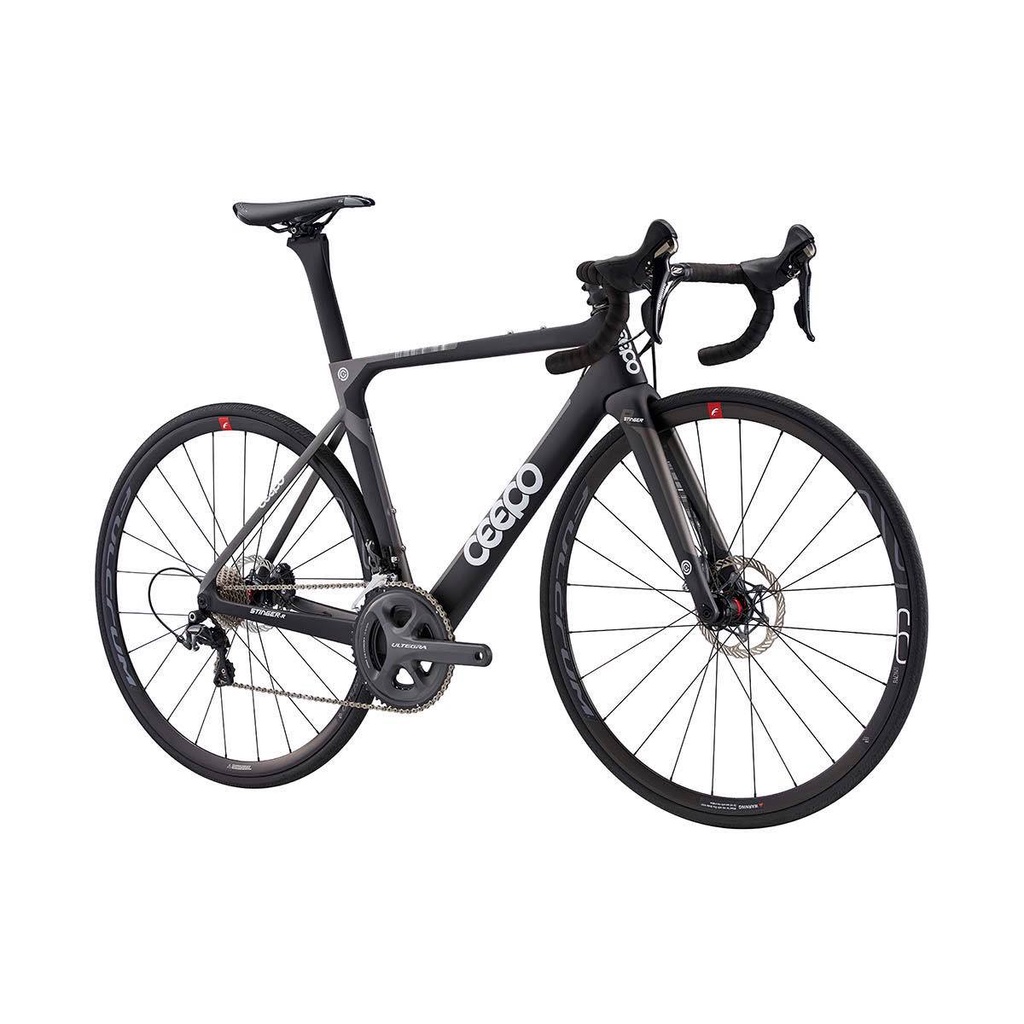 【値段交渉可】CEEPO STINGER トライアスロンバイク トライアスロン用バイク ceepo stinger