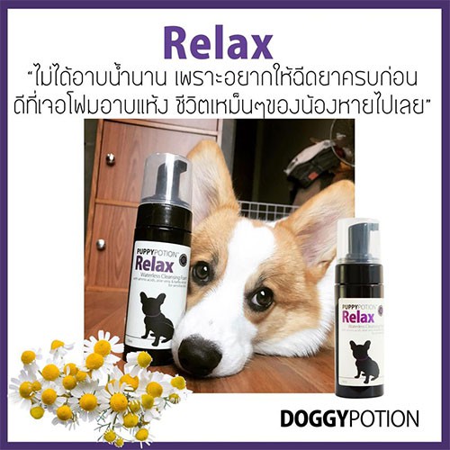 Puppy Potion Relax Waterless Cleansing Foam 150 ml ราคา ถูกที่สุด ดีลบีเคเค แกลเลอรีภาพที่ 3