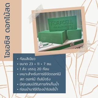 โอเอซิสสีเขียว ก้อน (FO008-1) ลังละ 380 บาท โฟมปักดอกไม้สด อุปกรณ์ปักดอกไม้ (มีราคาก้อน และยกลัง 20 ก้อน สินค้าพร้อมส่ง)