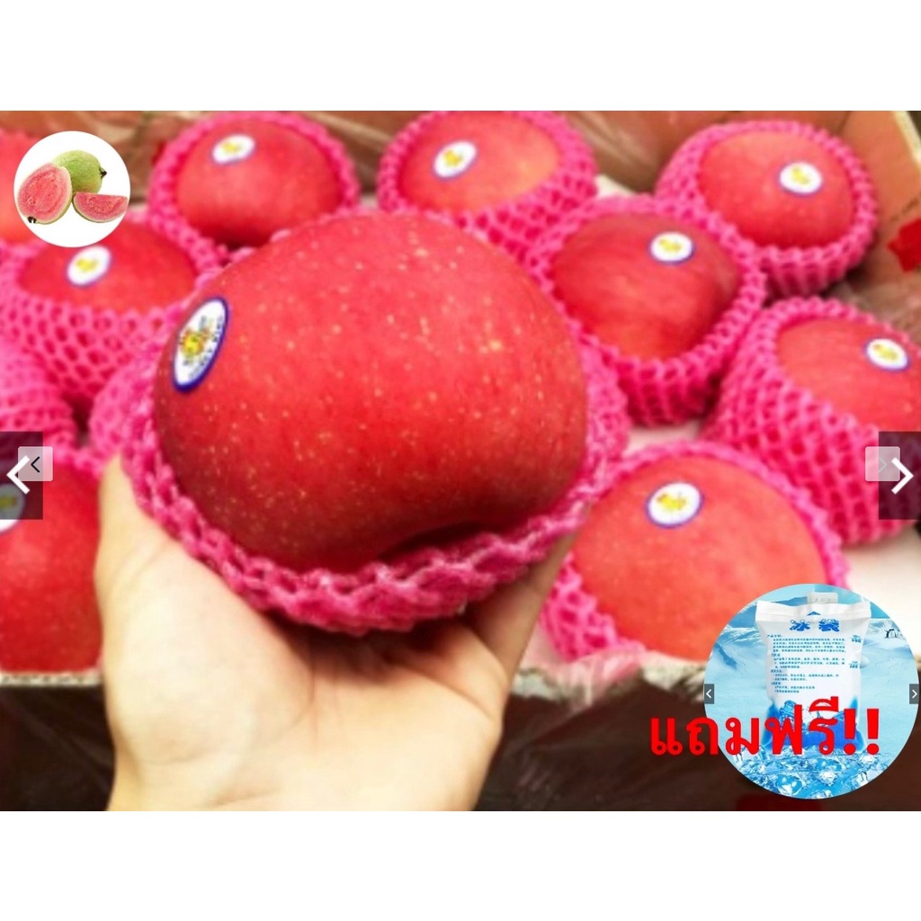 Guava top1แอปเปิ้ลฟูจิ (3ลูก/ไซส์JUMBO) APPLE FUJI (CHN) ~ลดพิเศษ~ ลูกใหญ่ ผลไม้ต่างประเทศ ผลไม้นำเข
