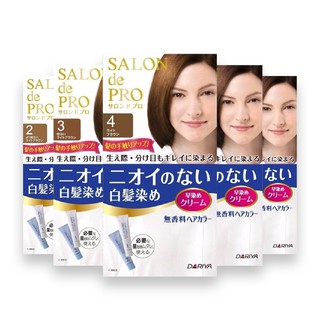 DARIYA Salon De Pro Hair Dye No Smell 40g+40g