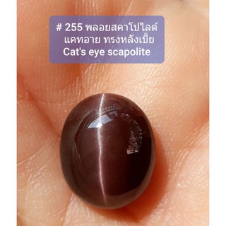 # 255 พลอย สคาโบไลท์ แคทอาย cats eye scapolite หินแห่งความมีวินัย