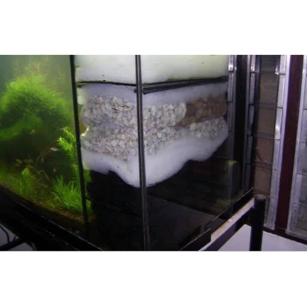 รูปภาพ 7