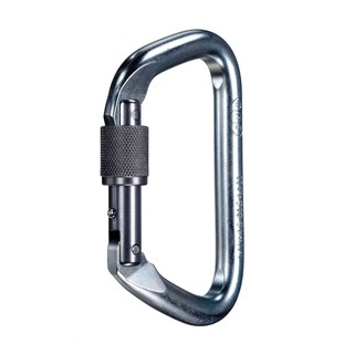 Carabiner SMC Large Steel Locking D NFPA คาราไบเนอร์เหล็ก