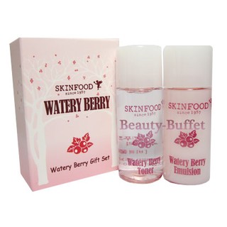 skinfood water berry kit