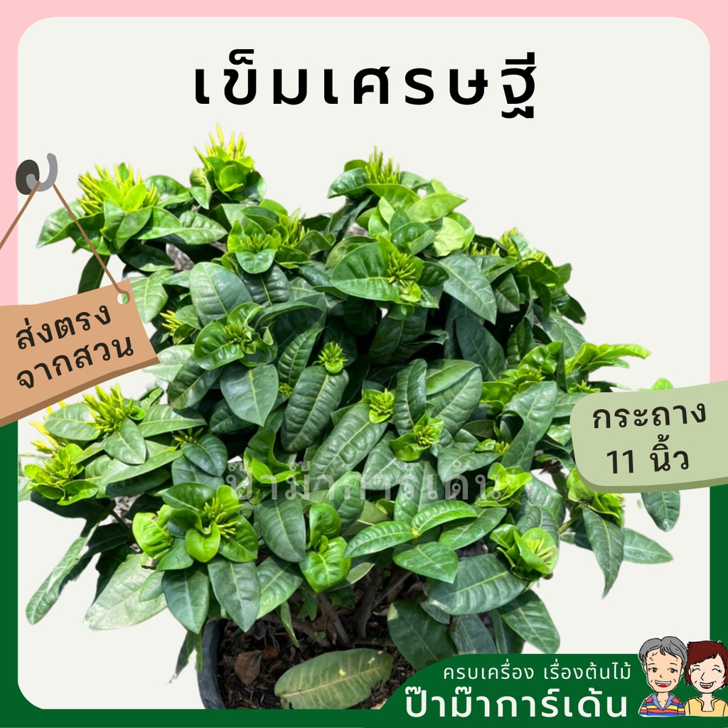 มุมมอง 3