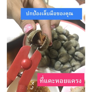 easytools ที่แกะหอยแครง ครีมแกะหอยแครง ปกป้องเล็บมือ ใช้งานง่าย ประหยัดแรง